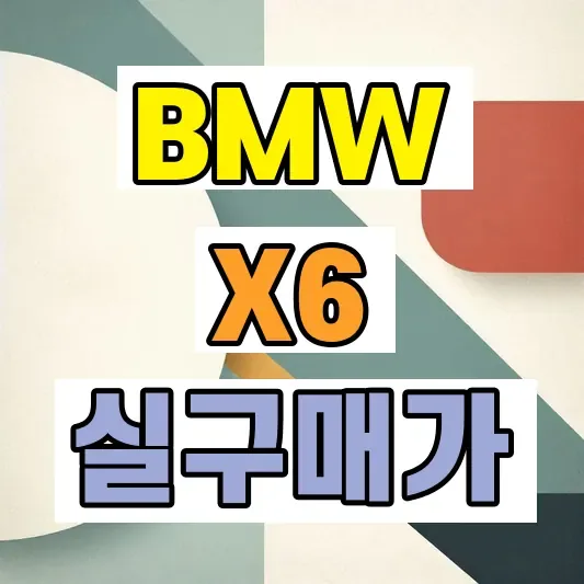 2026 BMW X6 실구매가