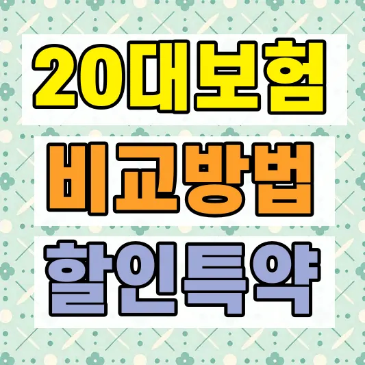 20대 자동차보험료 비교방법