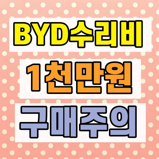 BYD 전기차 수리비 비교