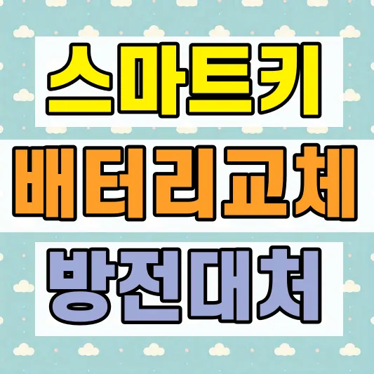 스마트키 배터리 방전 증상