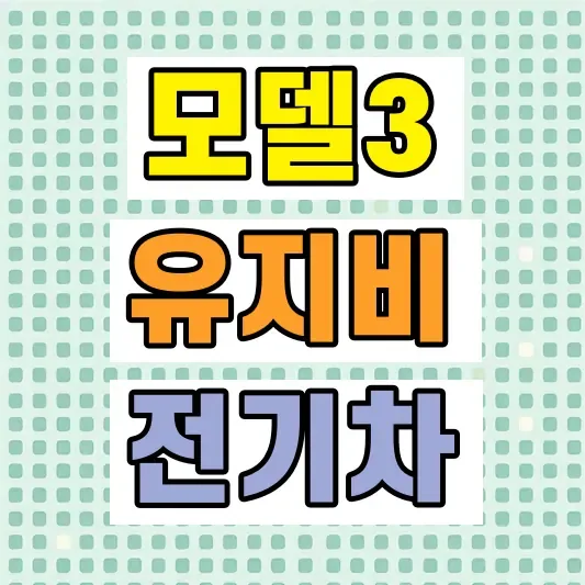 테슬라 모델3 전기차 비교