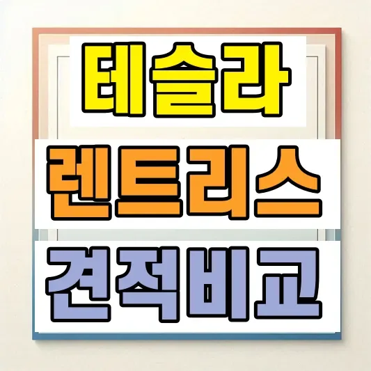 테슬라 모델3 모델Y 비교