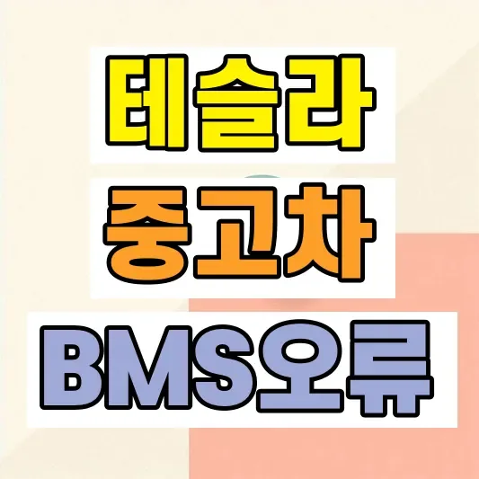 테슬라 중고차 수리비